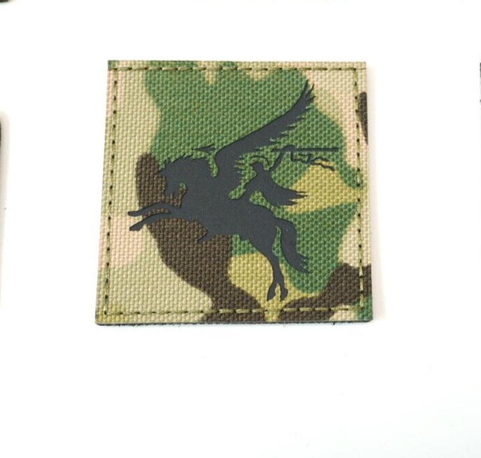 British Army Pegasus Patch In MTP 16 Air Assault Brigade Para Regiment